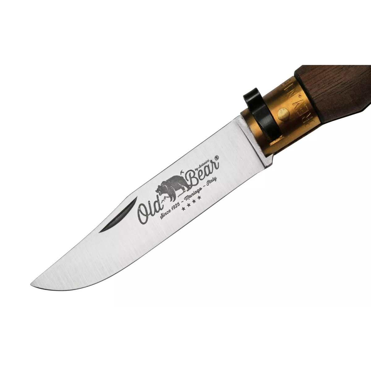 Coltello Tascabile Antonini Old Bear Lama in Acciaio Inox da 8 cm Manico in Legno di Noce