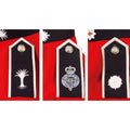 Vera giacca dell'esercito britannico uniforme tunica abito rosso scarlatto guardie cavalleria