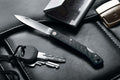 Coltello chiudibile Fox Knives Brand Italia in acciaio inox 440C manico in fibra di carbonio