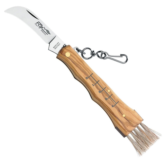 FoxKnives COLTELLO FUNGHI 405 OL Coltello Funghi Fisso Acciaio Inossidabile AISI 420C - GoMilitar