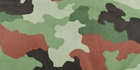 M93 Foglia di quercia