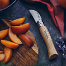 Coltello Tascabile Chiudibile Opinel N°07 Castagno Aglio Lama 12C27 Manico in Noce