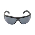 Occhiali a largo occhio svizzero le lenti color fumo di lenti anti-fog anti-scratch